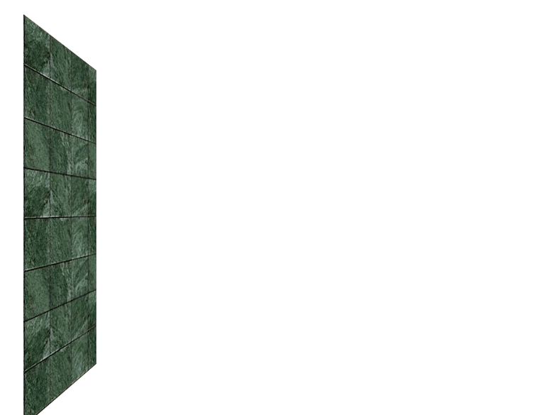 oblicovka_plitkoy_zmeevik