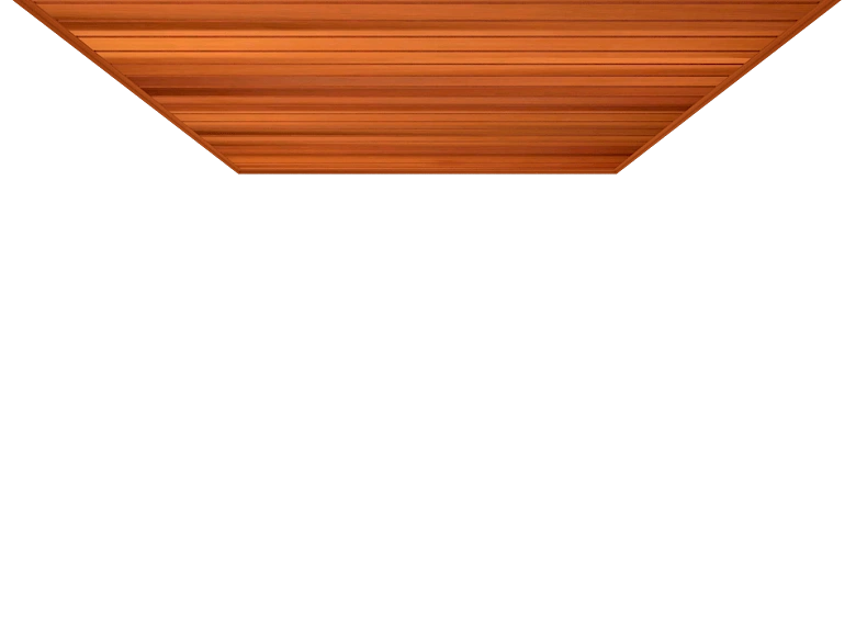 potolok_shir_can_kedr